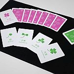 �K���Ȉ�� (�r���[x���їȐ^)