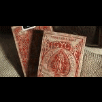 (�o�C�X�N��) �G�L�X�p�[�g�o�b�N (����)