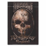 (�o�C�X�N��) �A���P�~�[2