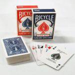 (�o�C�X�N��) �~�j