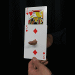 �Z�~�W�����{�E�M���`���J�[�h