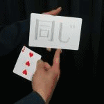 �����ł��`�W�����{�T�C�Y�` (���DVD�t��)