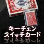 �L�[�`�F���E�X�C�b�`�J�[�h (���F���C��)