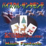 �o�C�X�N���E�T���^�����e (��)