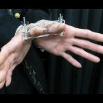 �t�B���K�[�E�N���A�[�n���h�J�t(�����w������̒E�o)