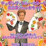 �}�b�`���O�E�t���[�c�J�[�h�E���i���W�����{�T�C�Y