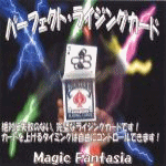 �p�[�t�F�N�g�E���C�W���O�J�[�h(��)