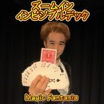 �Y�[���C���E�C���r�W�u���f�b�N