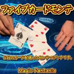 �t�@�C�u�J�[�h�����e