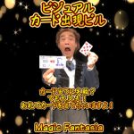 �r�W���A���E�J�[�h�o���r��