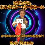 �r�W���A���E�V���N�X���[�E�J�[�h�z�[��