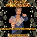 �C���|�b�V�u���E�G�N�X�`�F���W�r��