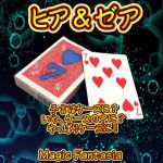 �q�A���[�A (�ԃf�b�N�Z�b�g)