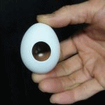 �����i���E�������^�}�S