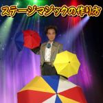 �X�e�[�W�}�W�b�N�̍��� DVD