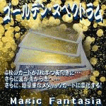 �S�[���f���E�X�y�N�g����