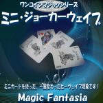 �~�j�E�W���[�J�[�E�F�C�u