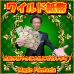 ���C���h����