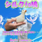 �V���Nto��