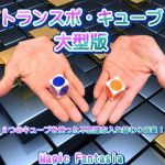 �g�����X�|�E�L���[�u (��^��)