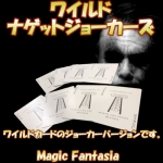 ���C���h�E�i�Q�b�g�W���[�J�[�Y