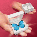 �}�W�b�N�o�^�t���C (�e�����[)