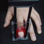 �w�M���`�� (�~�j)