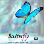 Butterfly (�o�^�t���C)
