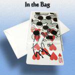 �C���E�U�E�o�b�O (�Ђ��ۂ�)