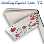 �o�C���f�B���O�E�T�C���J�[�h V2 (�Ђ��ۂ�)