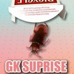�W�[�P�[�T�v���C�Y (�Ђ��ۂ�) (GK SURPRISE)