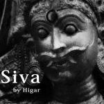 �V���@ (�q�K�[)