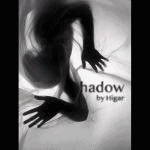 �V���h�E (�q�K�[)