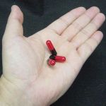 �o�C���O���I�H���@�̓����I�J�v�Z��