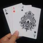 �V�E�W�����{�J�[�h�`�F���W