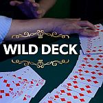 ���C���h�f�b�N (���F���C��)