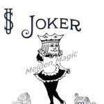 ���C�h�W���[�J�[(����i)