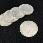 �V�E�����K���_���[�R�C�� (���v���J�^�������^�P��)