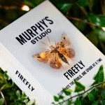 �t�@�C���[�t���C (�����{�ꎚ���Ή��^�����{��⑫�������t��)