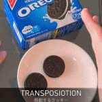 �t���b�p�[�E�N�b�L�[ (�����Ԍ���^���DVD�v���[���g)