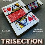 �g���C�Z�N�V���� (�O�����J�[�h) (��)