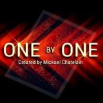 �����E�o�C�E���� (One by One) (�����{�ꎚ���Ή���)