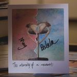 �������[ (MEMORY) (�����{�ꎚ���Ή���)