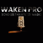 �E�F�C�N���E�v��