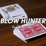 �u���E�n���^�[