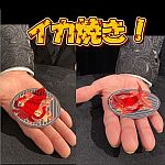 �V�E���@�̎��� (�C�J�Ă��I)