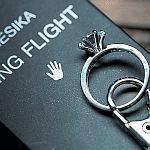 ���V�J�E�����O�t���C�g (���^�����O�t���C�g)