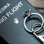 ���V�J�E�����O�t���C�g (���^�����O�t���C�g)