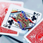 �V�E�K���X�e�[�u�����ђʂ���J�[�h (���F���C��)