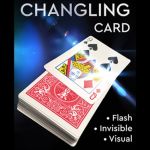 �`�F���W�����O�E�J�[�h